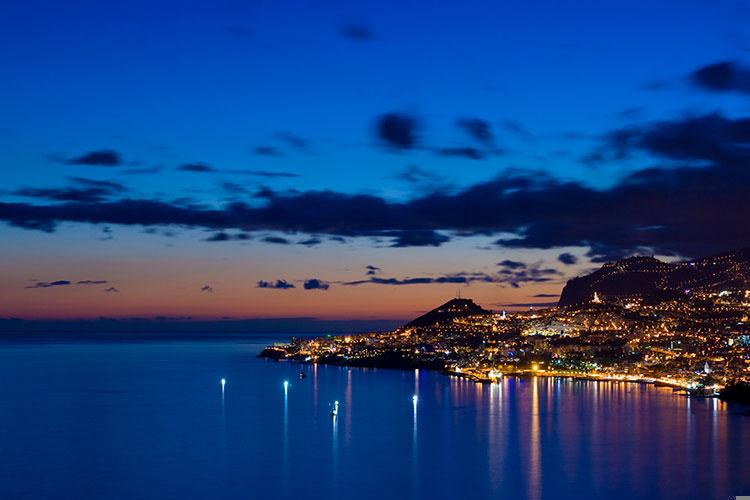 2025年属牛运势如何