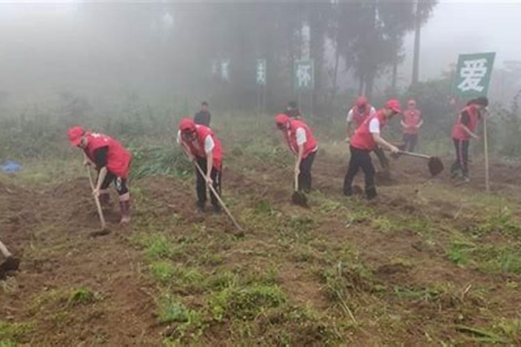 小时候下地干活的感受