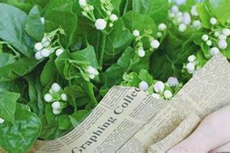 做梦梦见种花是什么意思