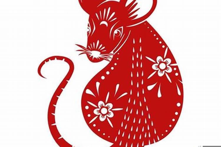 属鼠的属鼠相合不合财