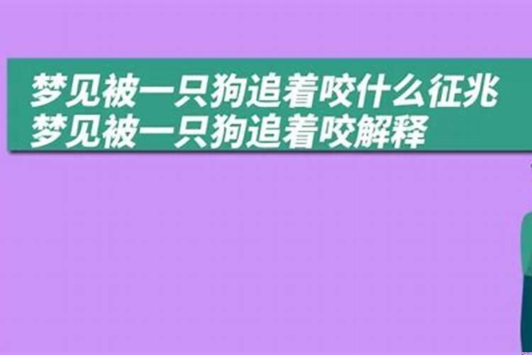 梦到被很多狗围着咬