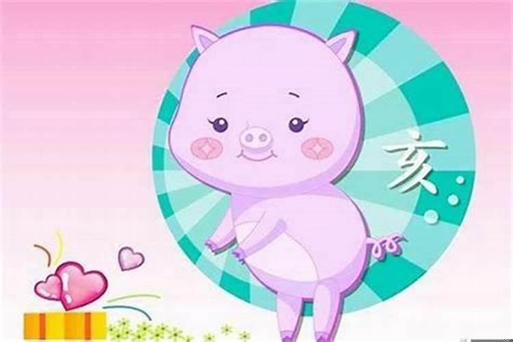 属龙和属猪的生虎宝宝