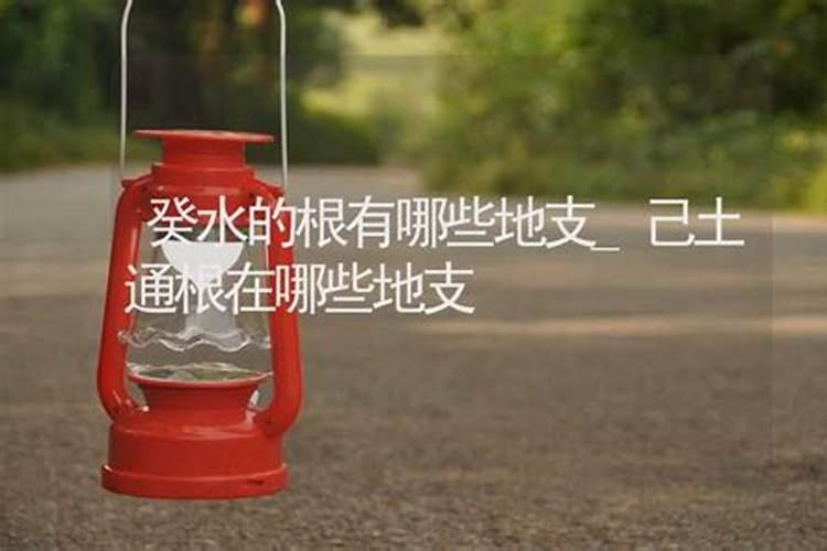 什么叫地支有根通根