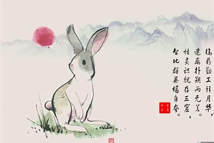 十二生肖取名禁忌你知道吗