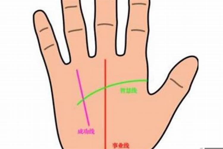 男人的事业线是啥意思