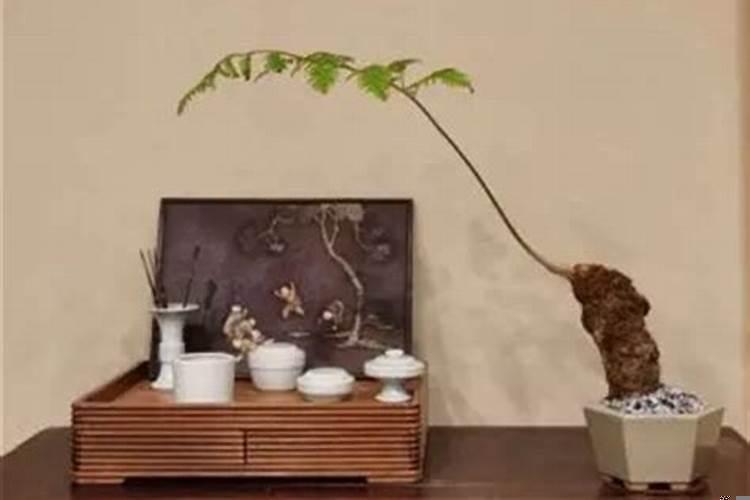 什么叫地支有根通根