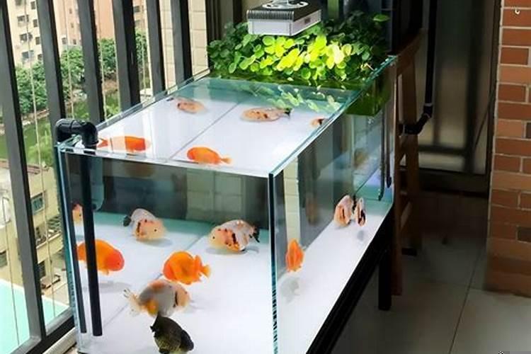 葫芦挂客厅北墙上好吗