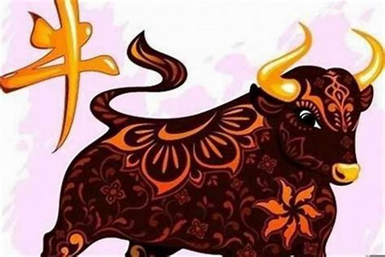 属牛的人适合要属什么的孩子