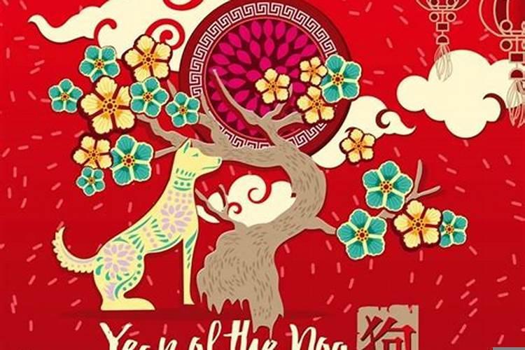 82年属狗女什么命