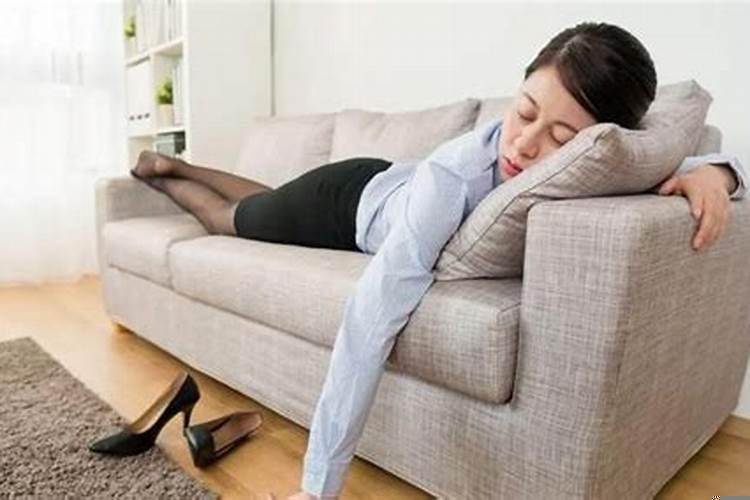 懒得动脑子的星座有哪些呢