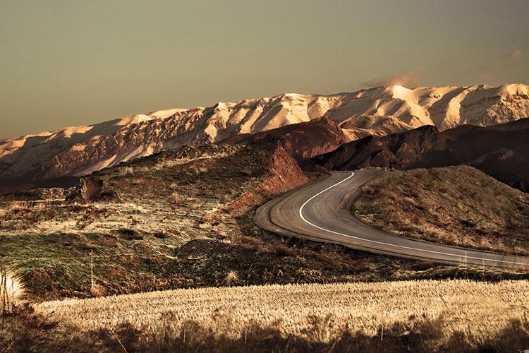 情商高的人有心机