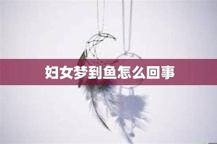 梦到大鱼怎么回事