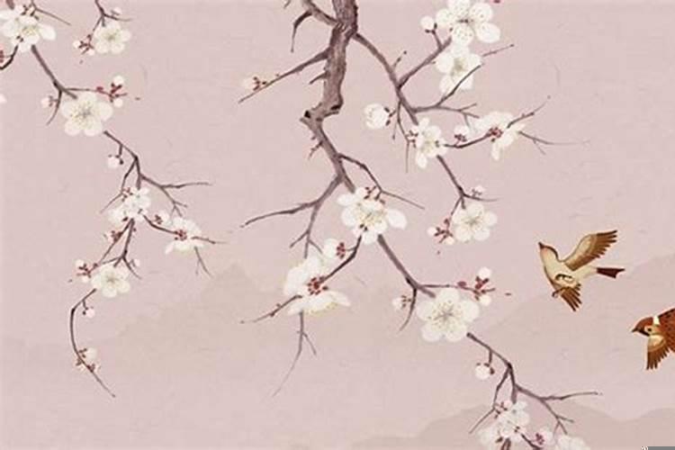 立春后老宅能不能动土建房