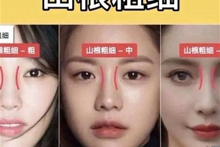 什么叫地支有根通根