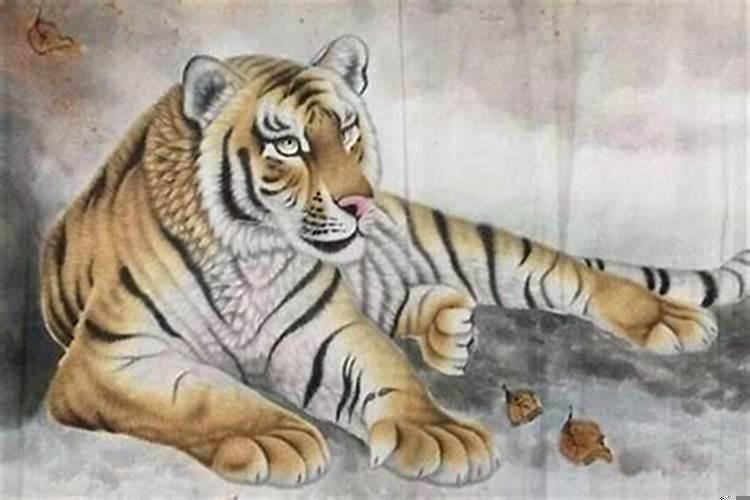 属虎的结婚忌什么属相接亲