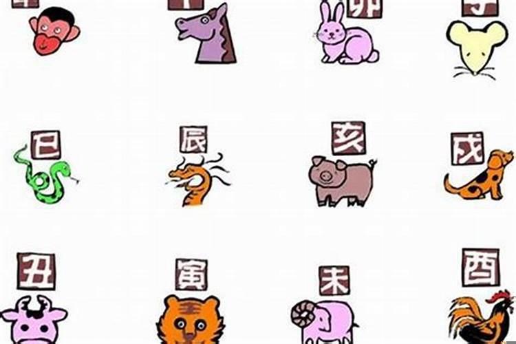 82年属什么今年多大