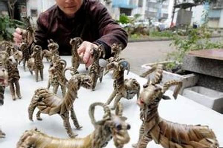 中国生肖羊是山羊还是绵羊