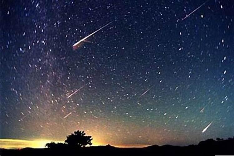 狮子座的生日是什么星座