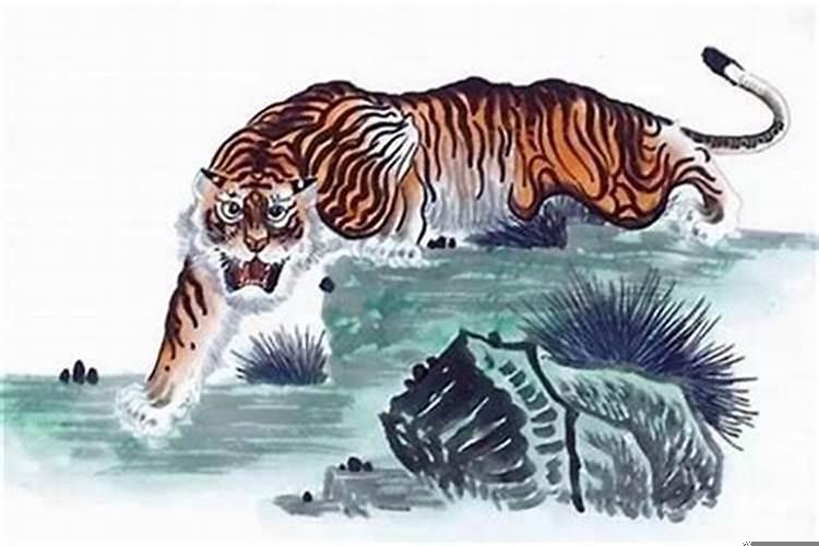 农历十月的虎是不是很苦命