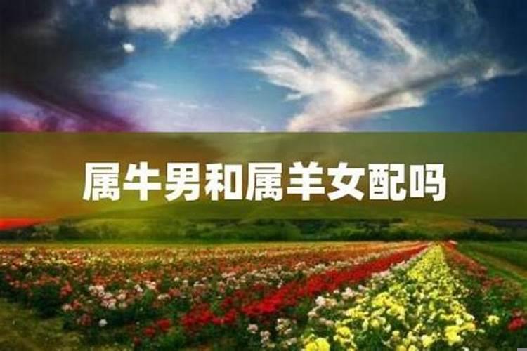 属羊女的桃花运