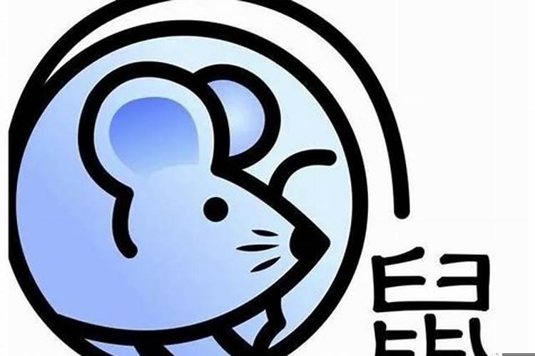 属鼠的男人感情的弱点