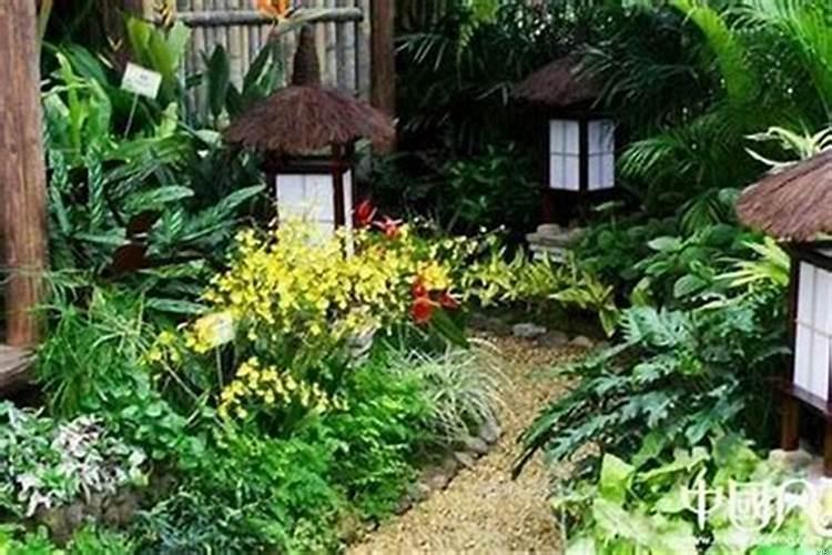 院子里种什么植物风水好又旺