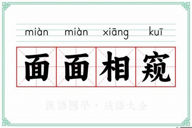 面面相什么的意思