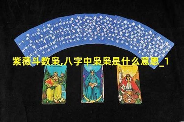 算命中的枭是什么意思