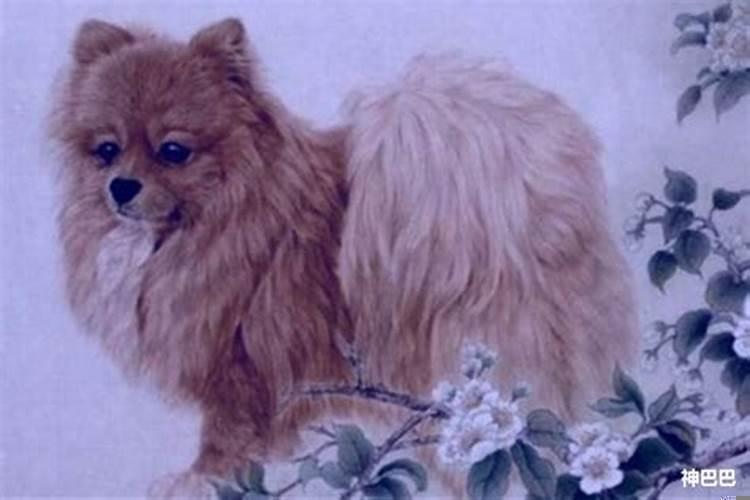 属狗的男人戴什么旺财