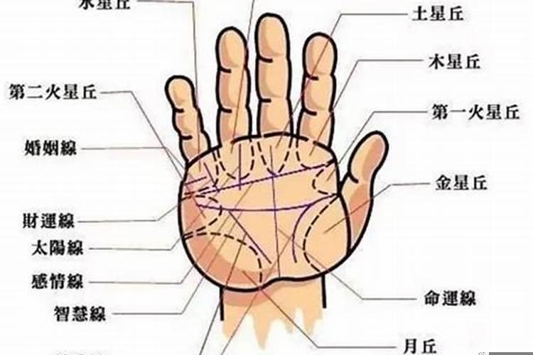 算命手相男左女右