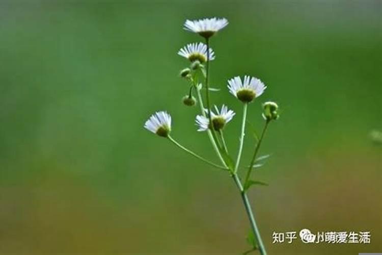 对性格决定命运的认识