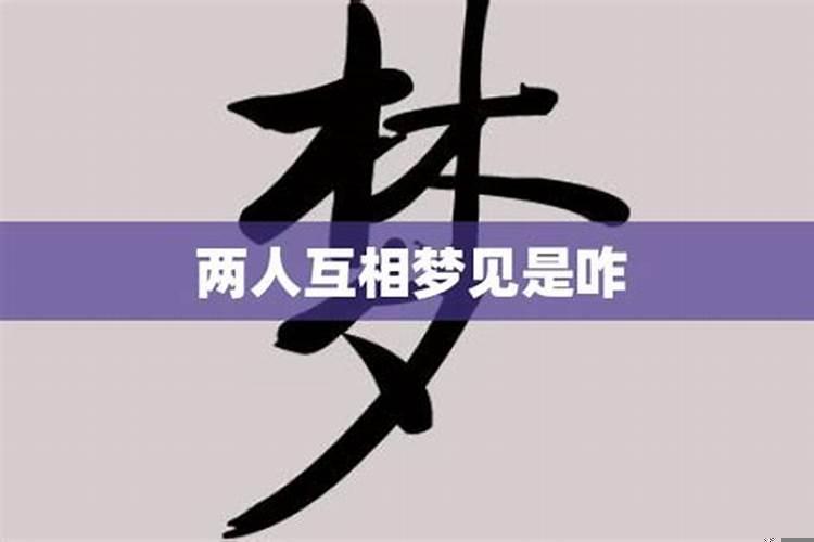 非常想念一个人的时候会梦见那个人吗