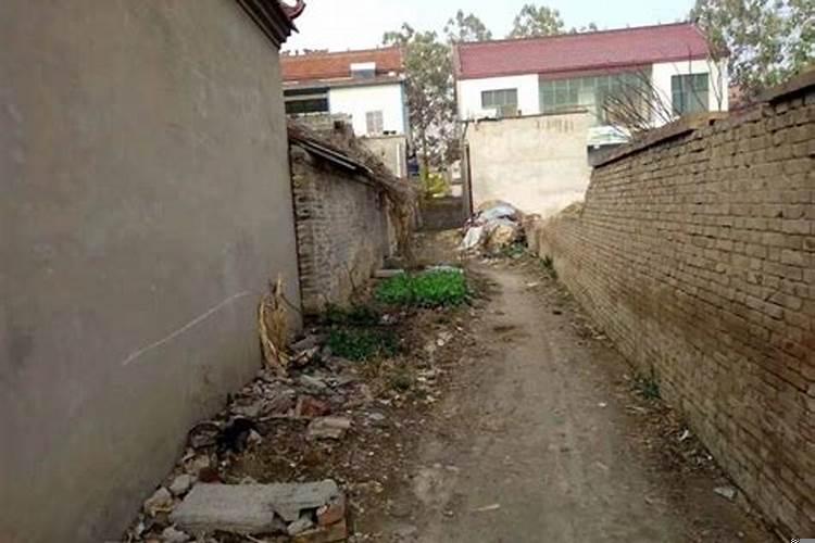 坟墓越长越大什么意思