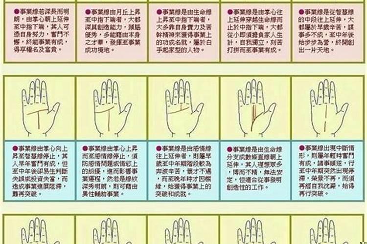 男人的事业线是啥意思