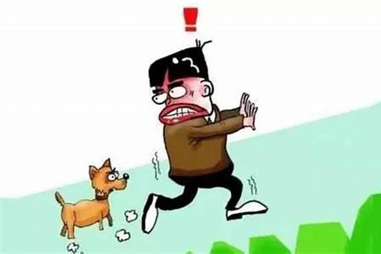 2025年是什么年什么子年