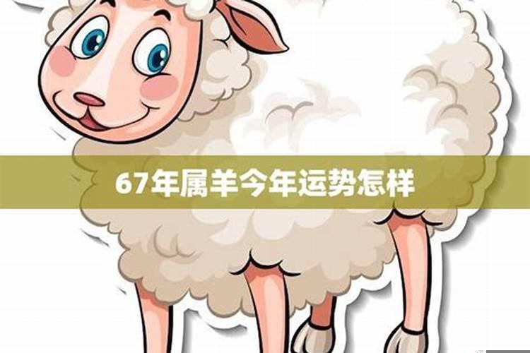 67年属羊54岁命中注定2022年