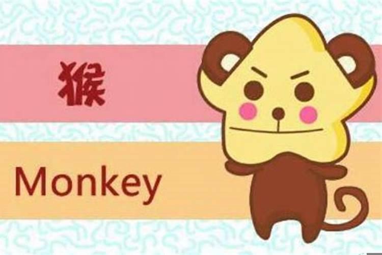 68年猴男与70年狗女的婚姻好吗