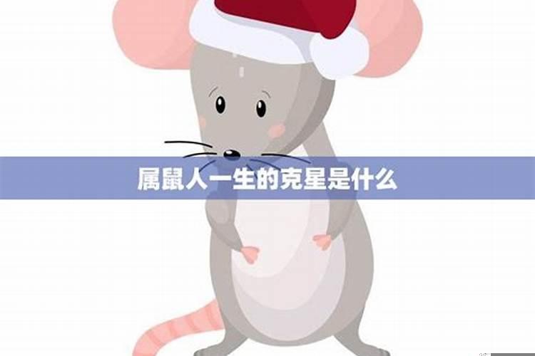 属鼠人一辈子的克星有哪些