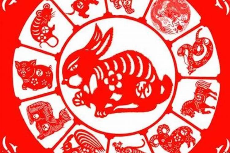 87属兔劫难2019的那一月