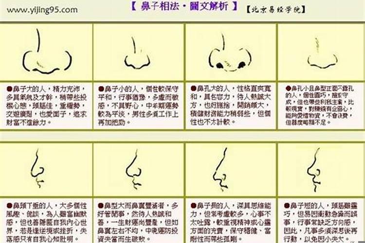 面相鼻子看相大全