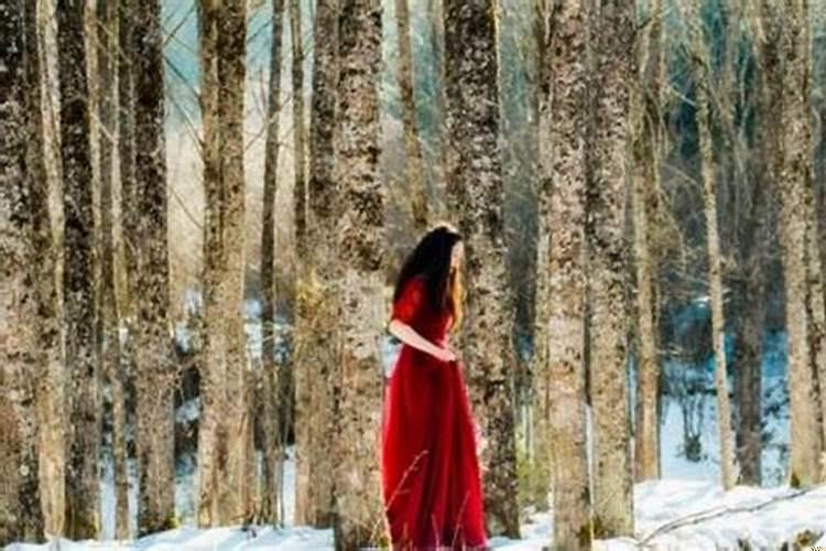 两人发生争执该如何处理