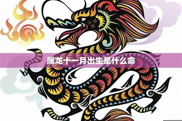 属龙人农历十一月出生好吗