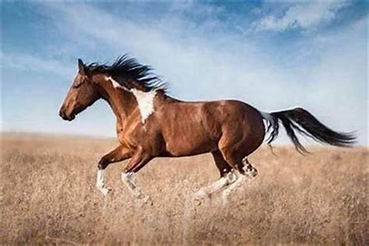 几月几日搬家是好日子