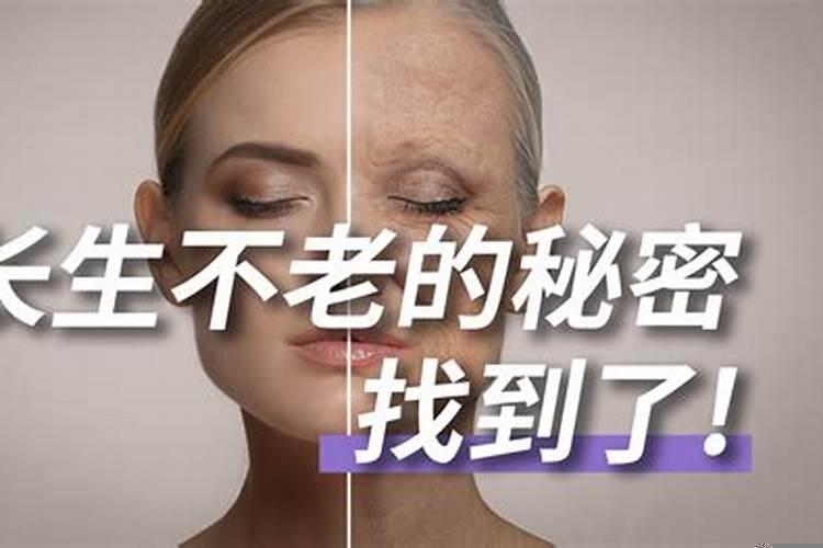 长生不老的口诀是什么呢