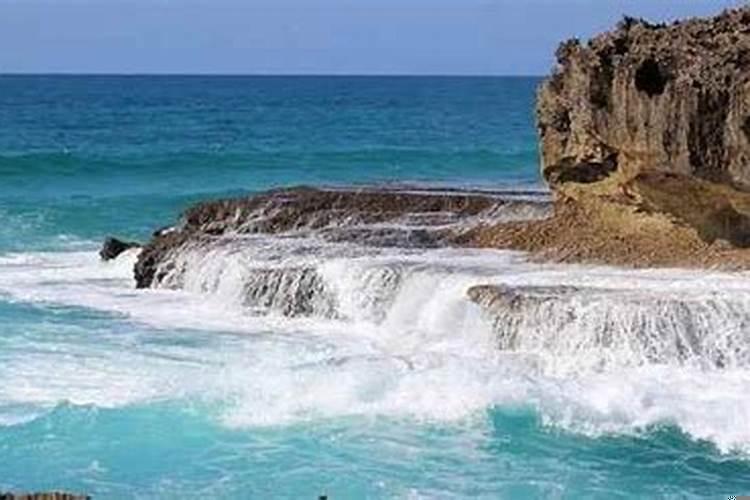 2021年属牛人下半年事业运