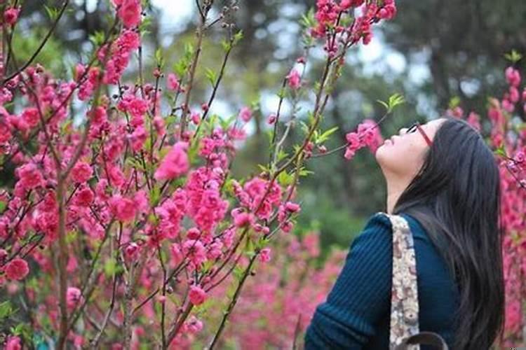 怎么样增加桃花运