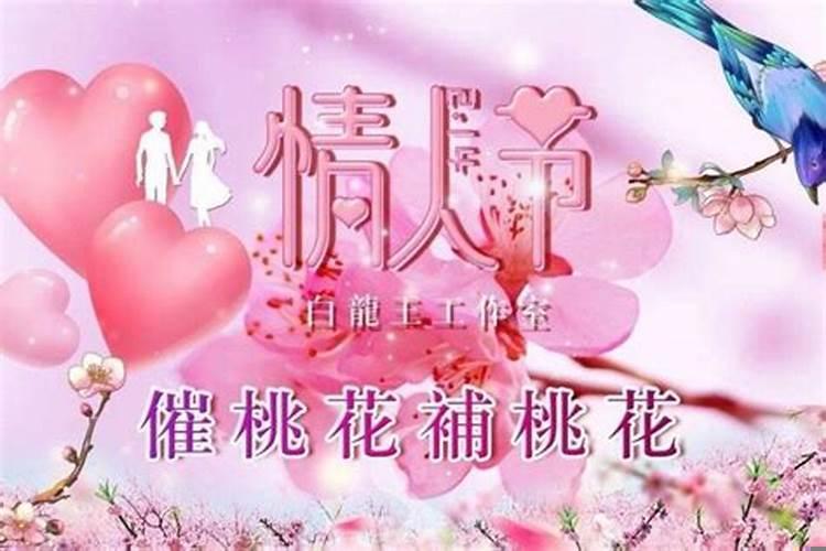 卧室催桃花催姻缘风水