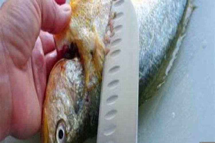 已婚女人梦见红鱼