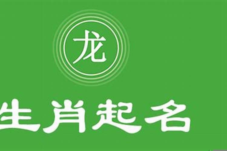 属龙宝宝取名字