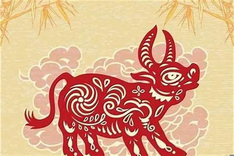 属牛人的财运方是哪个方向